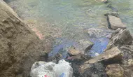Çermik Sinek Çayı'nda duyarsızlık örneği Doğaya bırakılan çöpler halkı isyan ettirdi