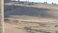 Ergani'de leylek kurtarma operasyonu Yuvasında mahsur kalan hayvanı ekipler kurtardı
