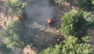 Diyarbakır'ın beş ilçesinde narkotik operasyonu Milyonlarca kök kenevir imha edildi