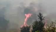 Lice'nin Kıpçak Mahallesi'nde orman yangını 400 dönümlük arazi küle döndü