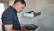 Diyarbakır Bağlar’daki güvercin oteli yangının izlerini sildi 21 farklı ırk yeniden