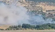 Silvan'ın iki köyünde korkutan ağaçlık yangını İtfaiye ve halkın çabasıyla söndürüldü
