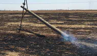 Diyarbakır'da anız yangınları enerji altyapısını vurdu: 5 milyon liralık devasa zarar