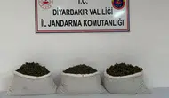 Diyarbakır'da jandarmadan büyük narkotik operasyonu: Tonlarca kenevir ele geçirildi