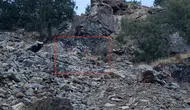 Diyarbakır Çüngüş'te doğa sürprizi: Nesli koruma altındaki dağ keçileri görüntülendi