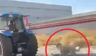 Diyarbakır Bağlar'da vicdansızlık: Traktöre iple bağladığı köpeği koşturdu