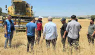 Diyarbakır Dicle'de çiftçilere müjde: Yüzde 75 hibeli mercimek tohumu desteği başladı