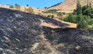 Diyarbakır Ergani'de anız yangını dehşeti: 100 dönümlük arazi küle döndü