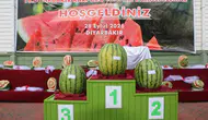 Diyarbakır'da 16. Geleneksel Karpuz Festivali: Dev karpuzlar yarıştı