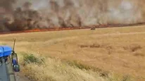 Diyarbakır Hazro'da 500 dönüm buğday kül oldu