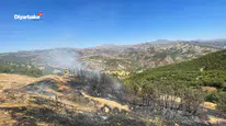Diyarbakır’ın Lice ilçesinde üç ayrı noktada çıkan yangın kontrol altına alındı