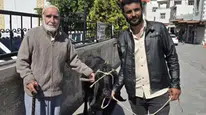 Diyarbakır Çermik'te 70 kiloluk keçi görenleri şaşırttı: İyi fiyata satıldı