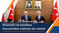 Diyarbakır'da küçükbaş hayvancılık atağı: 2 milyon TL'ye kadar kredi sağlanacak