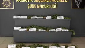 Hevsel Bahçeleri'nde şafak operasyonu 12 bin kök kenevir imha edilerek yok edildi