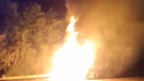 Sur ilçesinde gece yarısı korkutan yangın Seyir halindeki tır küle döndü