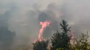 Lice'nin Kıpçak Mahallesi'nde orman yangını 400 dönümlük arazi küle döndü