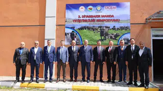 Diyarbakır'da manda yetiştiriciliğinde yeni vizyon: Yol haritası çizildi