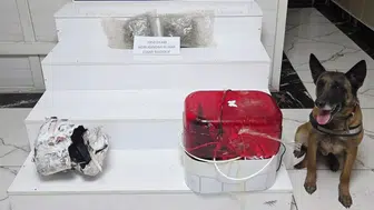 Diyarbakır'da operasyon: Esrarı akıl almaz bir yere saklamışlar