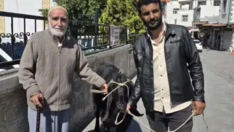 Diyarbakır Çermik'te 70 kiloluk keçi görenleri şaşırttı: İyi fiyata satıldı