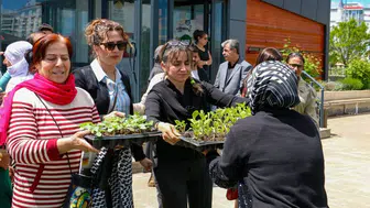 Diyarbakır'da vatandaşlara ücretsiz fide dağıtılıyor: Domates, biber, salatalık revaçta