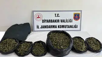 Diyarbakır'da 22 ayrı adrese baskın: 20 kilodan fazla yasaklı madde ele geçirildi