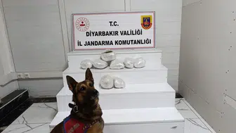 Diyarbakır’da zehir tacirlerine geçit yok: 150 kişi yakalandı, 26 kilo esrar ele geçirildi