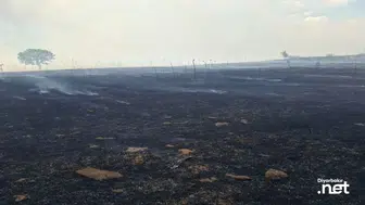 Diyarbakır'da tarım alanlarındaki yangının faciaya dönüşmesini önleyen detay
