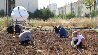 Diyarbakır'da kadınlar ekip biçerek para kazanacak: Büyükşehir destek verdi