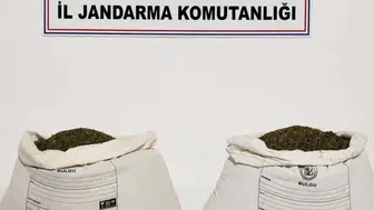Diyarbakır'da 38.5 kilogram esrar ele geçirildi: 11 kişi hakkında işlem başlatıldı