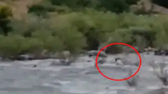 Bingöl ile Diyarbakır arasındaki çayda kaybolan gencin son görüntüleri ortaya çıktı