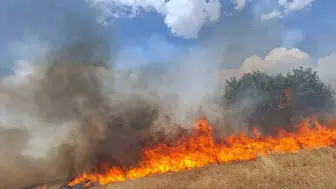 Diyarbakır genelinde anız yangını alarmı Beş ilçede alevlerle mücadele sürüyor