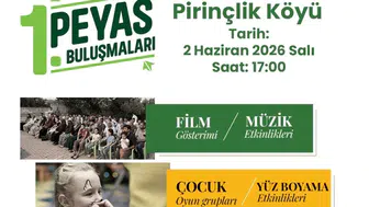Diyarbakır Kayapınar'da 1. Peyas Buluşmaları başlıyor: Yaz boyu 26 noktada şenlik var