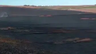 Silvan'da hasat faciası 150 dönümlük ekili ve anız alanı kıvılcımlarla küle döndü