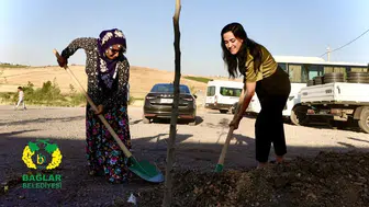 Diyarbakır'da belediyenin çalışmasına vatandaş da katıldı: Rekor sürede bitti