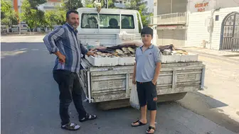Diyarbakır'da soğanın 60 TL olduğu devirde sazan balığını 50 TL'ye satıyor