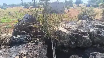 Dicle'nin bereketli topraklarında yangın paniği Onlarca meyve ağacı kül oldu