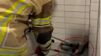 Diyarbakır'ın Bismil ilçesinde tedirgin eden manzara Petrol istasyonuna dev yılan girdi