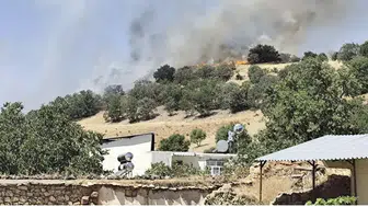 Çermik'te Başarı Mahallesi yakınlarında çıkan orman yangını korkuttu Ekipler müdahale etti