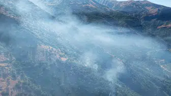 Diyarbakır'dan ekipler destek verdi, Tunceli Munzur Vadisi'ndeki yangın söndürüldü