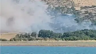 Silvan'ın iki köyünde korkutan ağaçlık yangını İtfaiye ve halkın çabasıyla söndürüldü