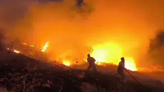 Siirt'teki dev yangına Diyarbakır'dan ekip takviyesi: Gece boyu alevlerle mücadele ettiler