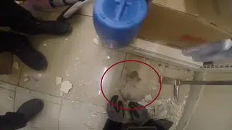 Diyarbakır Dicle Üniversitesi'nde demir profile sıkışan yavru kedi kurtarıldı