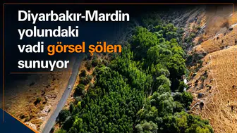 Diyarbakır Mardin yolundaki vadi görsel şölen sunuyor: Doğa tutkunlarının uğrak yeri