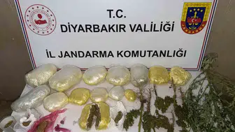 Diyarbakır genelinde büyük narkotik operasyonu: 59 bin kök kenevir ele geçirildi