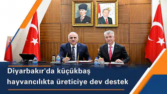 Diyarbakır'da küçükbaş hayvancılık atağı: 2 milyon TL'ye kadar kredi sağlanacak