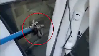 Çermik'te otomobil bagajına giren yılan, esnafın müdahalesiyle doğaya salındı