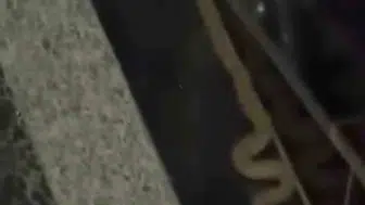 Kayapınar Mezopotamya Mahallesi'nde yılan paniği Site sakinleri korku dolu anlar yaşadı