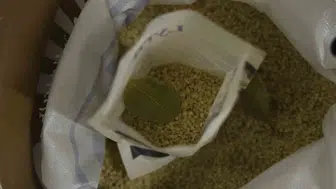 Diyarbakır'ın volkanik topraklardan gelen Karacadağ pirinci laboratuvar sınavını geçti