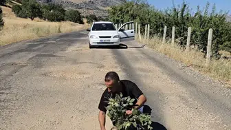 Çermik Haseran grup yolundaki derin çukurlar protesto edildi Yola fidan diktiler