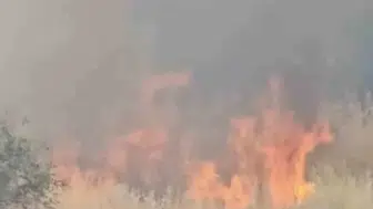 Çermik Çukur Mahallesi'nde anız yangını tehlikesi Alevler evlere ulaşmadan durduruldu